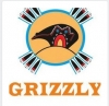 Компания "Центр продажи и ремонта мототехники grizzly"
